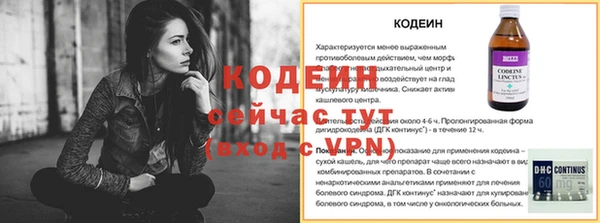 гашик Киренск