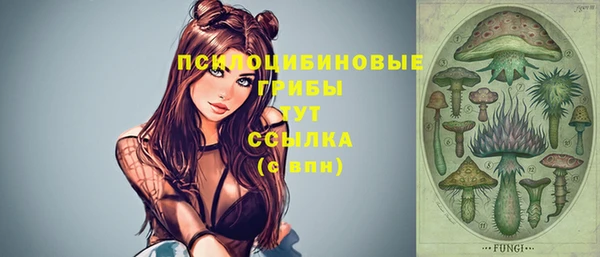 твердый Киреевск