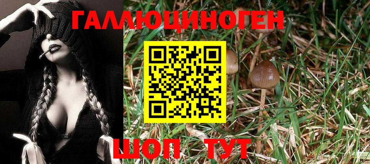 Галлюциногенные грибы Psilocybe  Галлюциногенные грибы Psilocybine cubensis  Когалым  Вход с VPN 