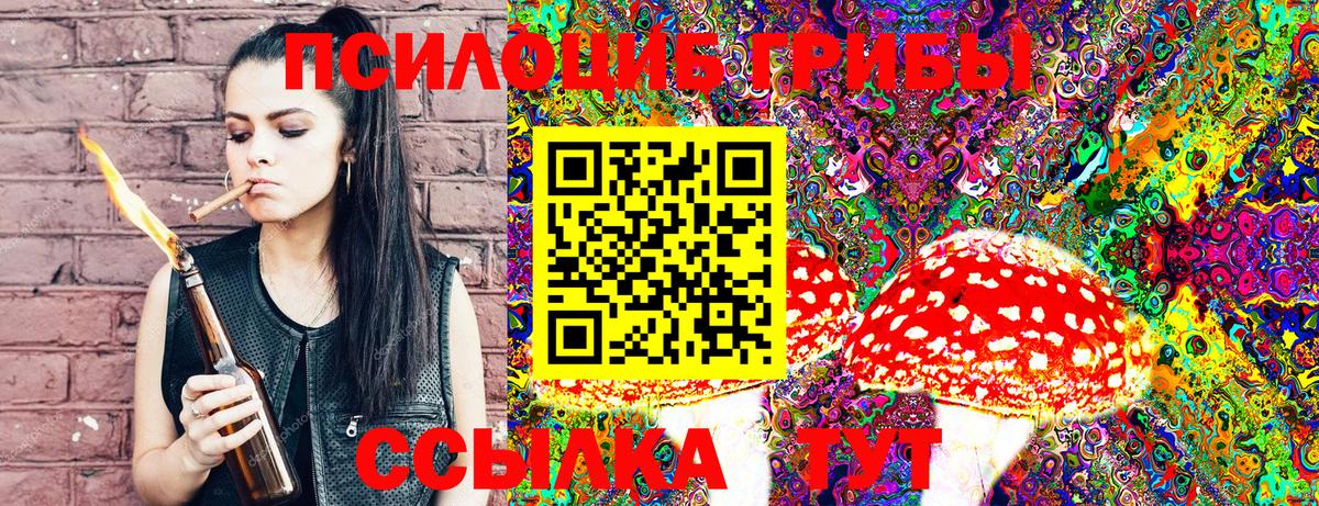 Галлюциногенные грибы Cubensis Когалым